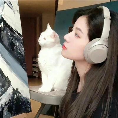 穿着旗袍的女孩 在线观看